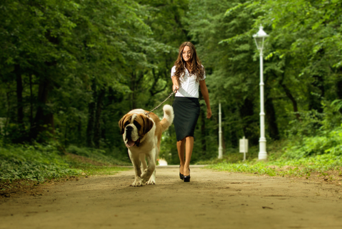 Lady walking dog